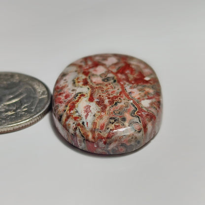 Leopard Skin Jasper