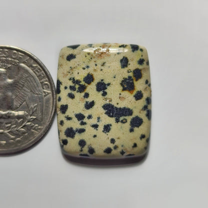 Dalmatian Jasper