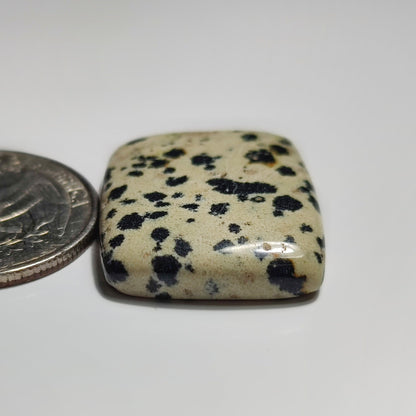 Dalmatian Jasper