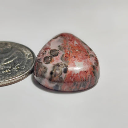 Leopard Skin Jasper