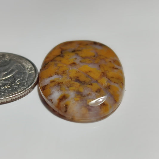 River Jasper