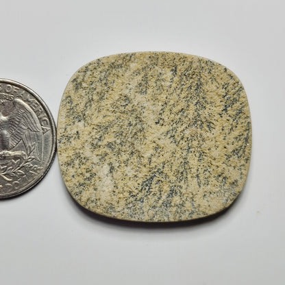 Psilomelane Dendrite Agate