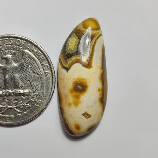 Ocean Jasper