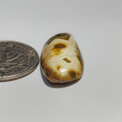 Ocean Jasper