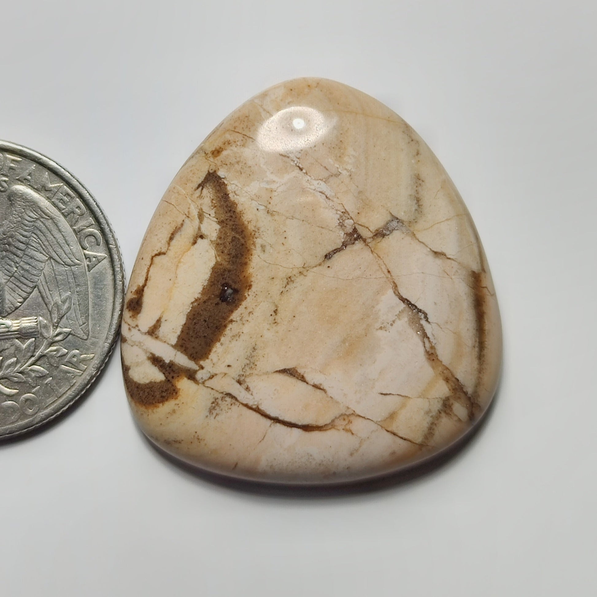 Coconut Jasper