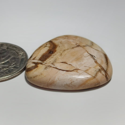 Coconut Jasper