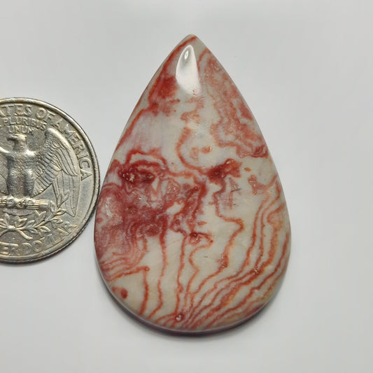 Rosetta Jasper