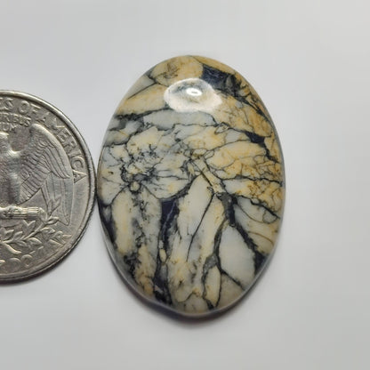 Pinolith Jasper