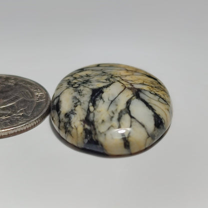 Pinolith Jasper