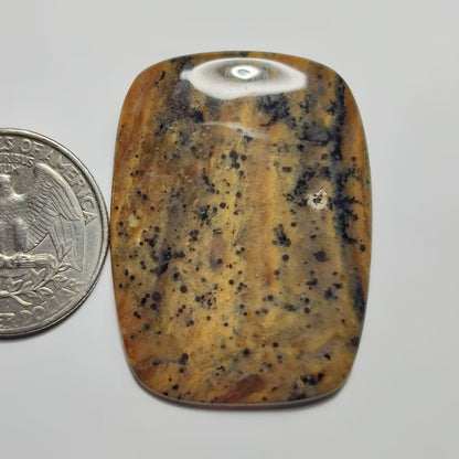 Honey Dendritic Agate