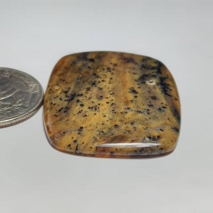 Honey Dendritic Agate