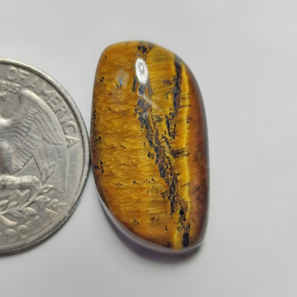 Tiger Eye