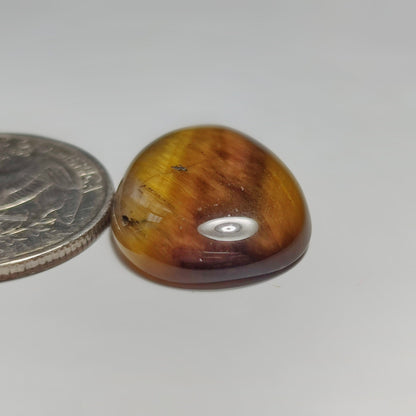 Tiger Eye