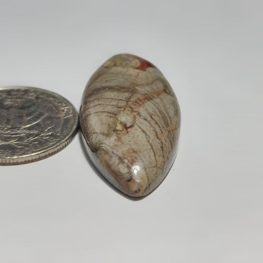 Rhyolite Jasper