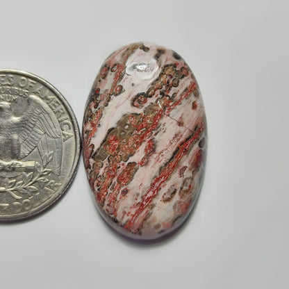 Leopard Skin Jasper