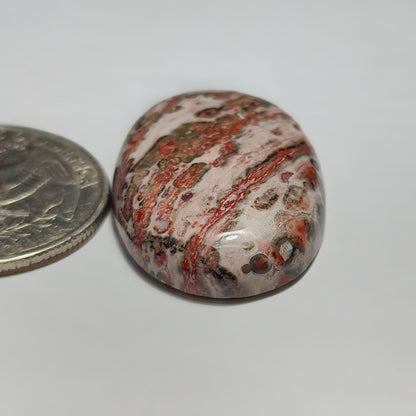 Leopard Skin Jasper