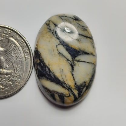 Pinolith Jasper