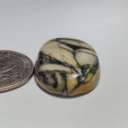 Pinolith Jasper