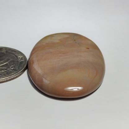 Polychrome Jasper