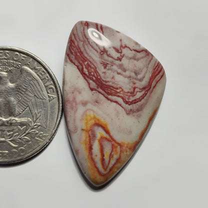 Rosetta Jasper
