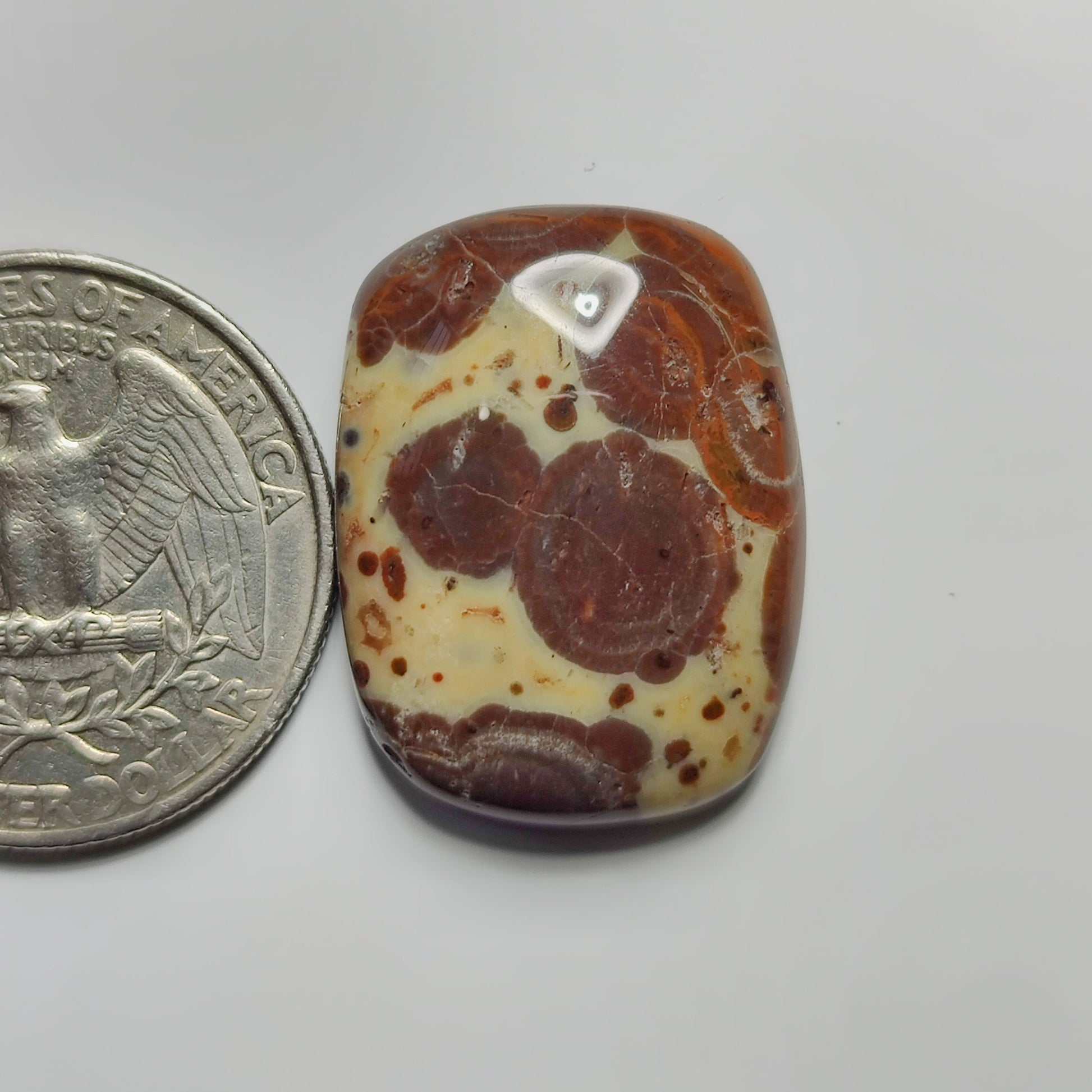 Asteroid Jasper