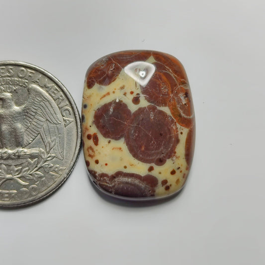 Asteroid Jasper