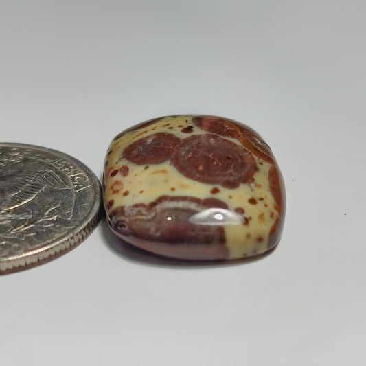 Asteroid Jasper