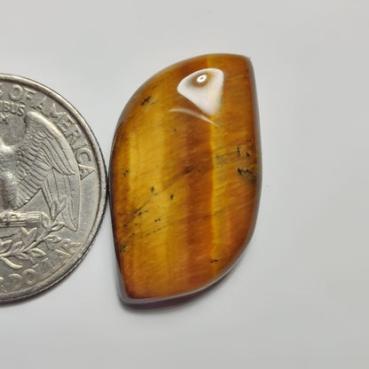 Tiger Eye