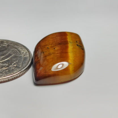 Tiger Eye