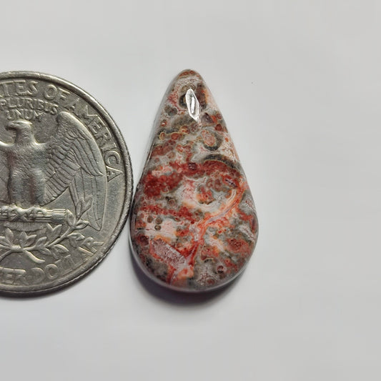 Leopard Skin Jasper