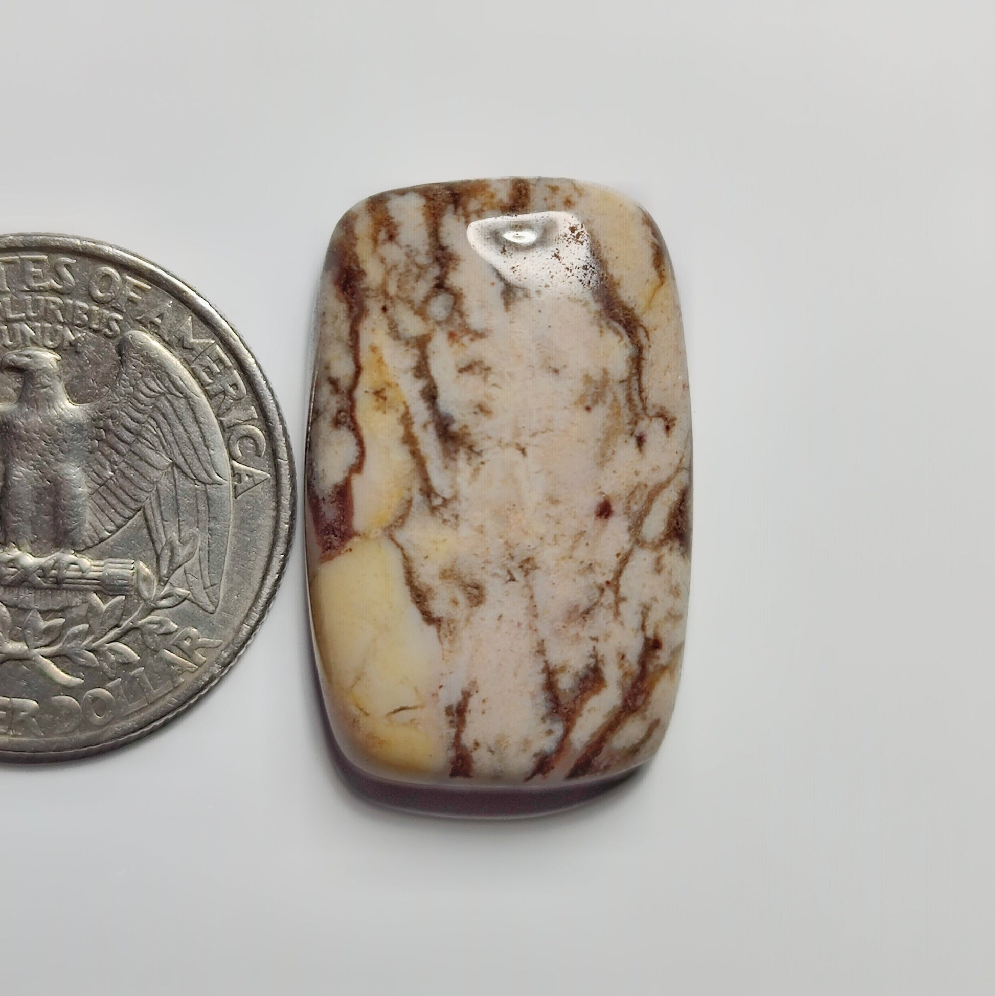 Coconut Jasper