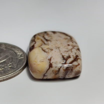 Coconut Jasper