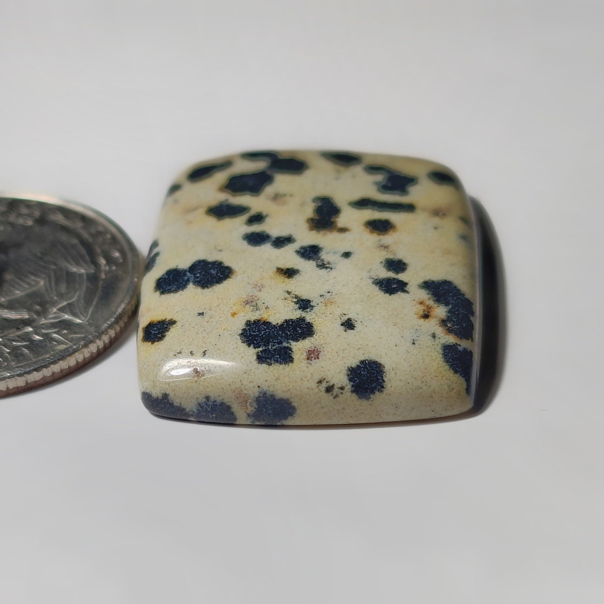 Dalmantion Jasper
