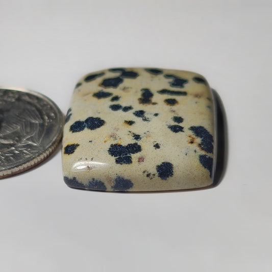 Dalmantion Jasper