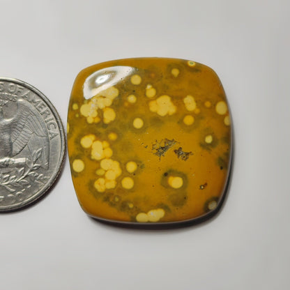 Yellow Ocean Jasper