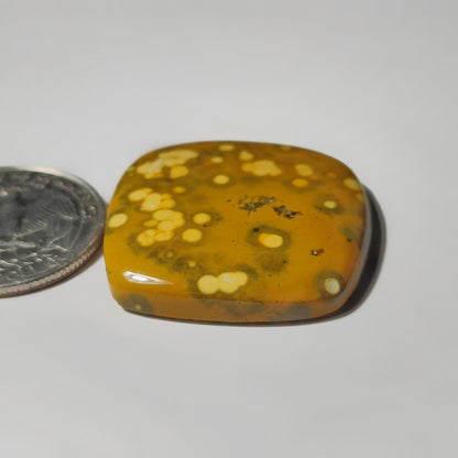 Yellow Ocean Jasper