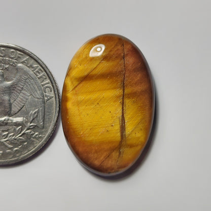 Tiger Eye