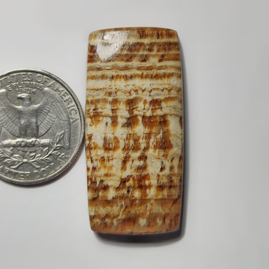 Brown Jasper