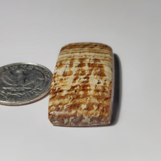 Brown Jasper