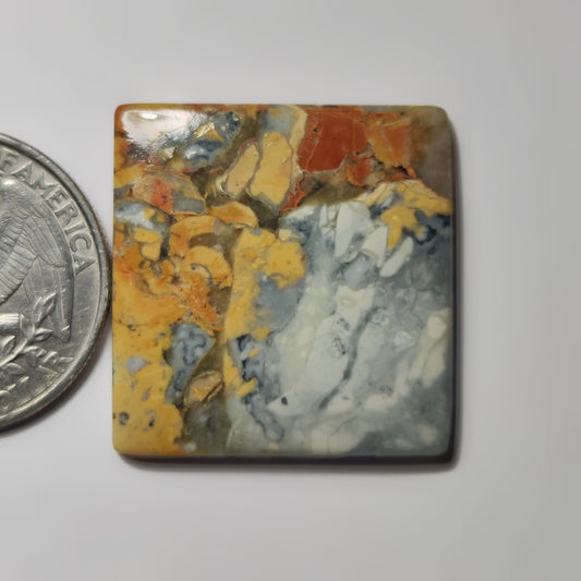 Maligano Jasper