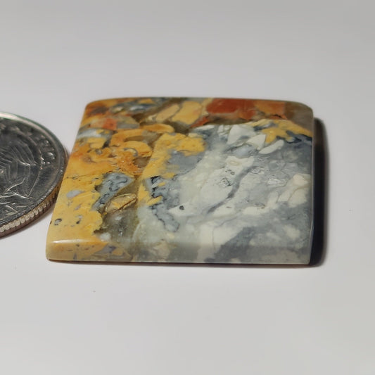 Maligano Jasper