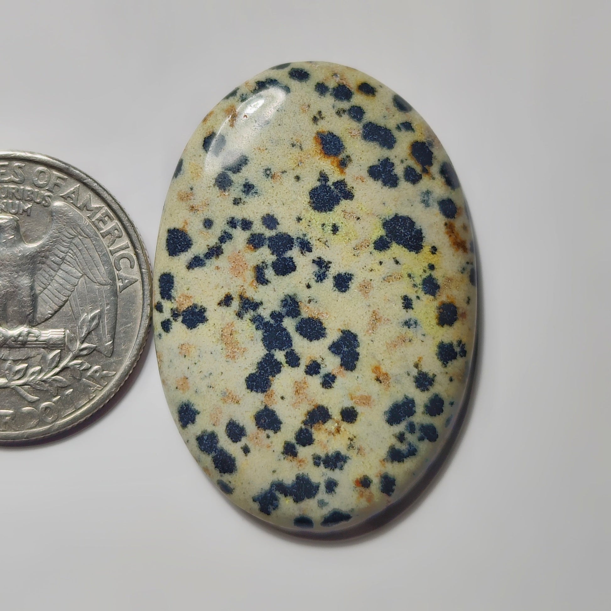 Dalamantion Jasper