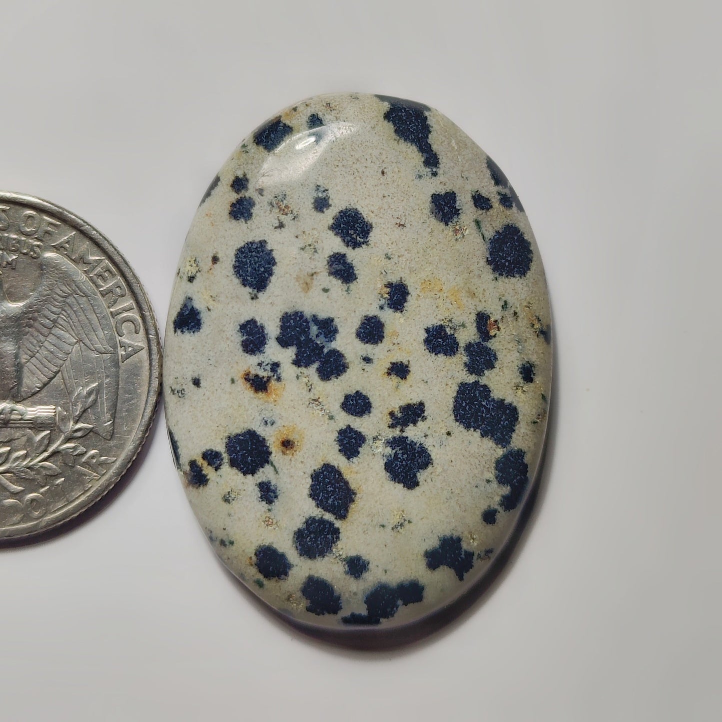 Dalamantion Jasper