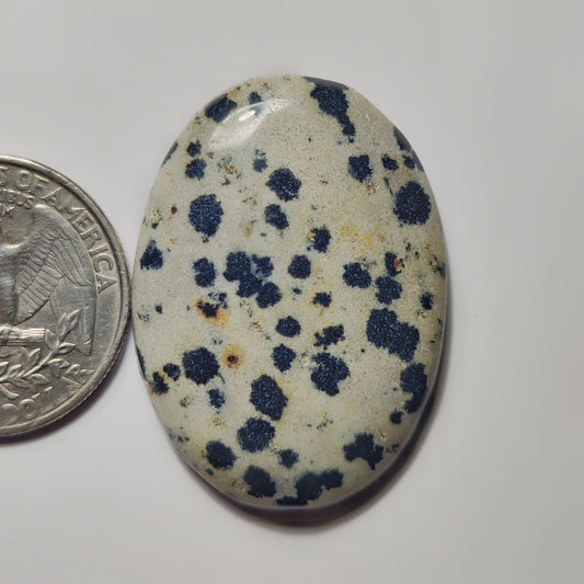 Dalamantion Jasper