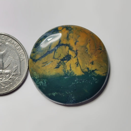 Rhyolite