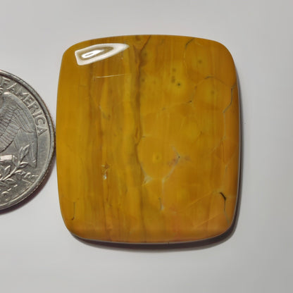 Yellow Ocean jasper