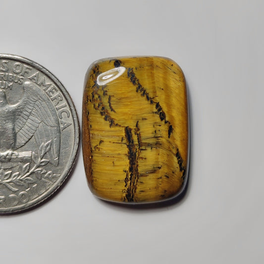 Tiger Eye
