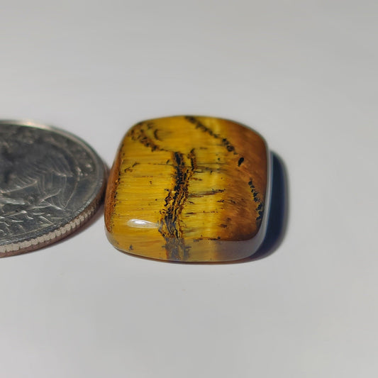 Tiger Eye