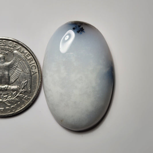 Dendritic Agate