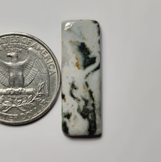 Ocean jasper